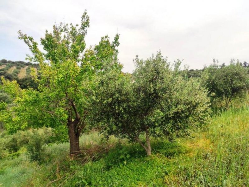 Kastellos bei Kournas Kreta, Kastellos: Grundstück mit Meerblick zu verkaufen Grundstück kaufen